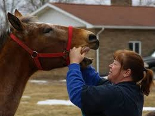 Image of Dr. Brenda Grettenberg with a horse